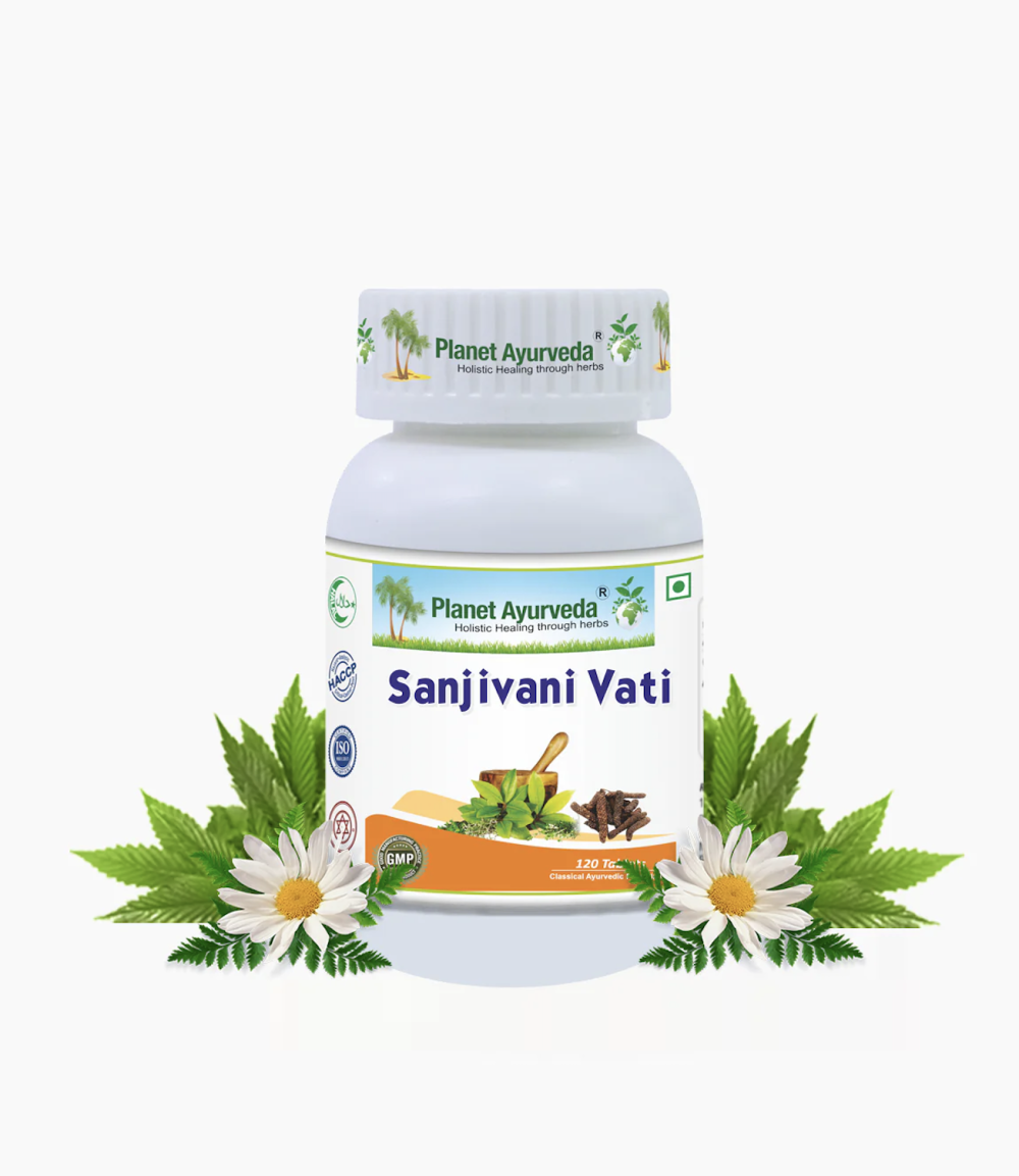 SANJIVANI VATI 불로초 반티 - 360정