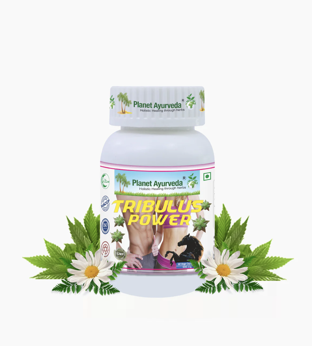 TRIBULUS POWER 트리불러스 파워 - 180정