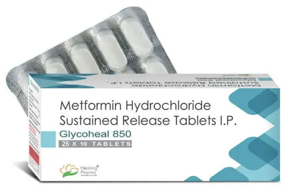 메트포르민과 글리코힐: 혈당 조절의 새로운 해법