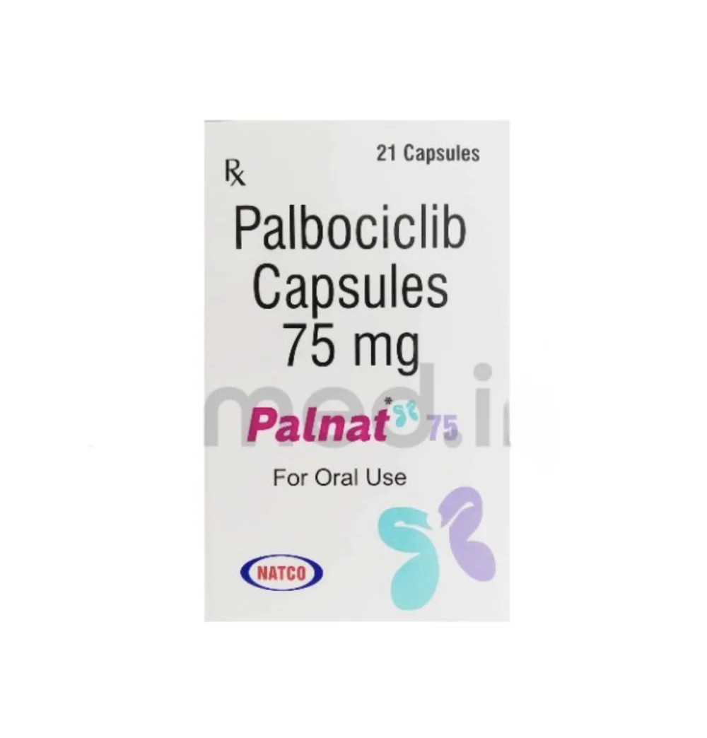 입랜스 팔보시클립: 최적의 스타일을 위한 필수 아이템